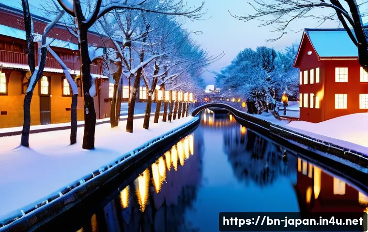 일본 홋카이도 겨울여행 관련 이미지 2